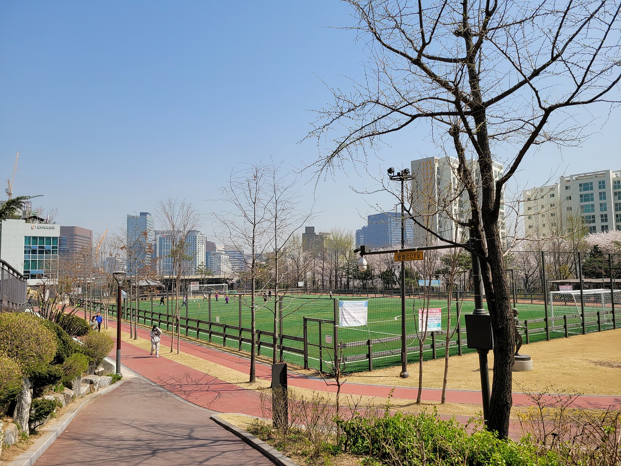 作为联盟中 作为联盟中