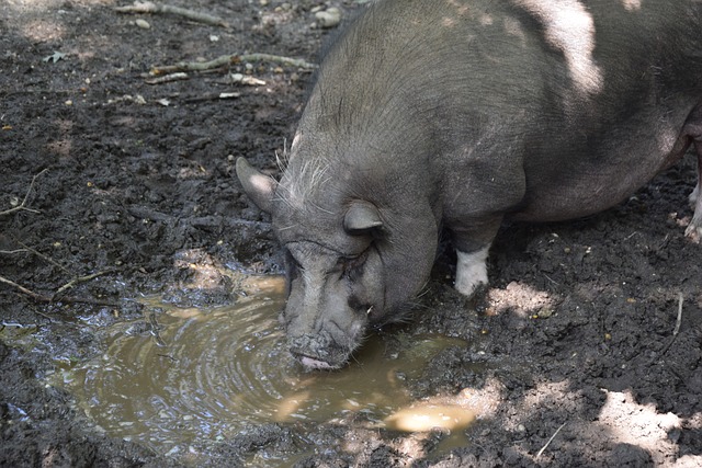 常成為焦點 常成為焦點