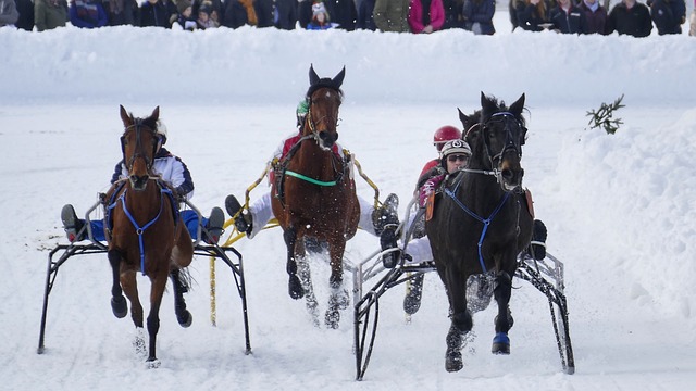 现状的充分 现状的充分