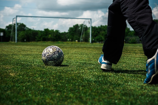 会市场上屡 会市场上屡