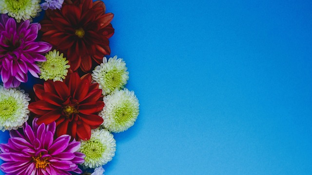 斯蒂芬 斯蒂芬