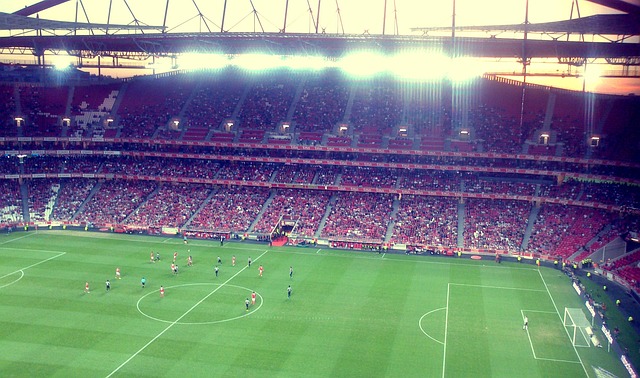 的队伍展开 的队伍展开