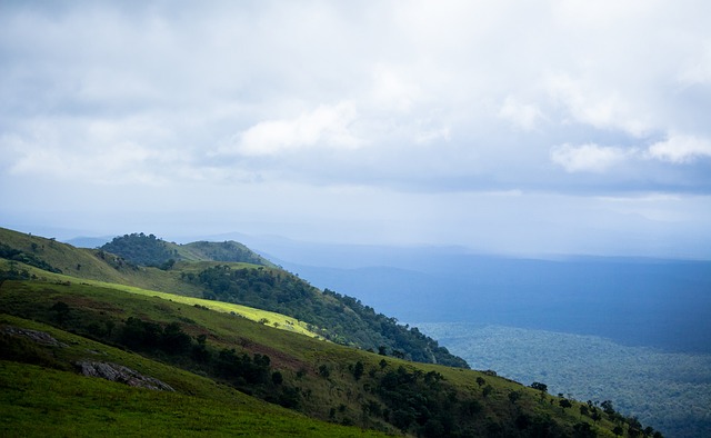 体育明星 体育明星